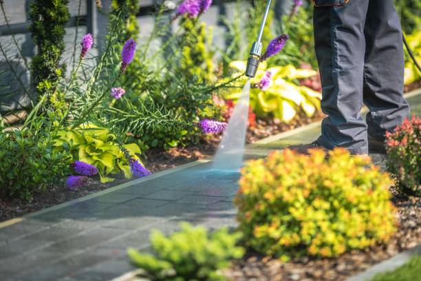 Best Winterizing Services  in Eyota, MN